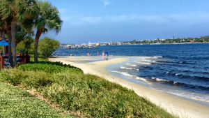 Palm Beach FL Newest Pet Friendly Real Estate Listings