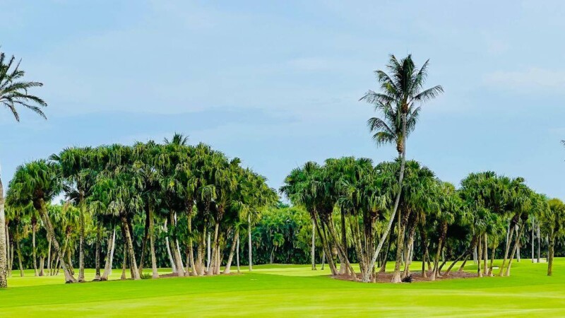 Land For Sale in Palm Beach County Florida
